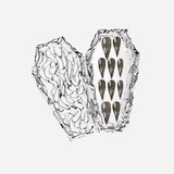 SHADOW CLAW COFFIN SET