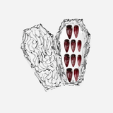 BLOOD OATH COFFIN SET